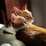 Randall Kaiser - @oliver_babyzoe808 - Instagram