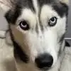 randallkemp1 - @randall.kemp - TikTok