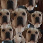 Randall - @randallkesslerr - Instagram