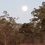 Randall Kettle - Facebook
