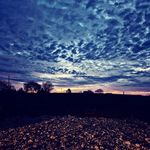 Franklin Randall Koch - @fkoch1 - Instagram