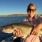 Randall Larson - @randall331 - Instagram
