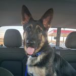 Randall Larson - @remis_ears - Instagram