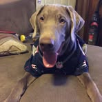 Randy Lechner - Facebook
