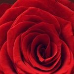 Randall Little - @randalllittle3 - Instagram