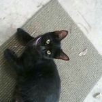 Randall Lowery - @lrandall529 - Instagram