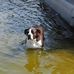 Randall Magee - Facebook