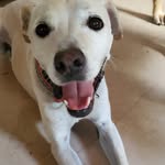 Randall Manning - @randall.manning.82 - Instagram