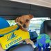Randall McCormick - Facebook