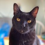 Randall McGuire - @mcguire_randall - Instagram