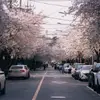 randalmerrell - @randalmerrell - TikTok