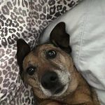 Randall Mullins - @randall.mullins.35 - Instagram