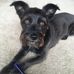 Randall Munson - Facebook