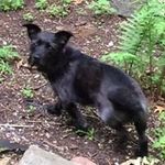 Randall Munson - @munsonrandall - Instagram