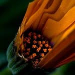 Randall Murdock - @randallmurdock - Instagram