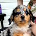 Randy Murdock - Facebook