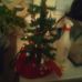 Randy Newkirk - Facebook