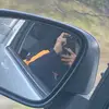 nem - @nixon.randall - TikTok
