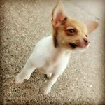 Oakley - @oakley_louise_randall - Instagram