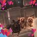 Randy Ogden - Facebook