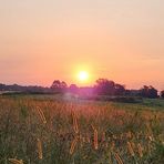 Randy Olinger - Facebook