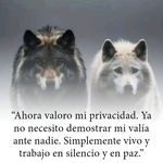 Randall Ortega Lobo - @wolf_3270 - Instagram