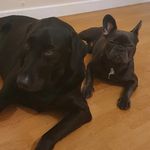 Randall&Otis - @randall.otis_ - Instagram