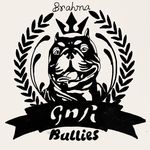 Randall Parks - @_gnrbullies - Instagram
