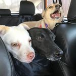 Randall Parsons - @randall.parsons2 - Instagram