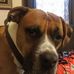 Randall Parsons - Facebook