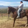 Randy Pena - @randypena7 - TikTok
