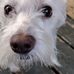 Randy Pierce - Facebook