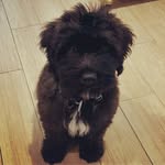 Randall Cobb St. Pierre - @therealrandallcobb - Instagram