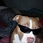 Randy Pyles - Facebook