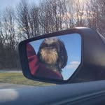 Randall Reitz - @reitzrandall - Instagram