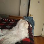 Randall Ricks - @randyricks - Instagram