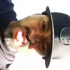 randallrios38 - @randallrios38 - TikTok