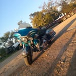 randall root - @root.randall - Instagram