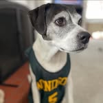 Randall Rupp - @rantastic4 - Instagram