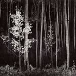 Randall Ruppert - @randallruppert - Instagram