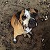 Randall Rushton - Facebook