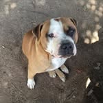 Randall Rushton - @rushton.randall - Instagram