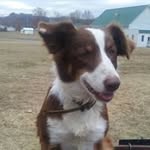 Randall Salters - @randallsalters - Instagram