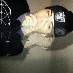 @randall.shafer.rs1.rs - Instagram