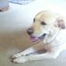 Randall Shook - Facebook