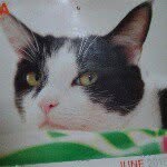 randall slone - @paulineslone627848 - Instagram