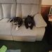 Randall Slone - Facebook
