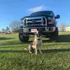 RAndy Snell - @randysnell - TikTok