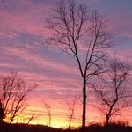 Randall Spurlock - @spurlockrandall - Instagram