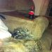 Randall Stanfill - Facebook